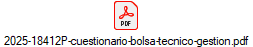 2025-18412P-cuestionario-bolsa-tecnico-gestion.pdf