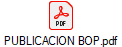 PUBLICACION BOP.pdf