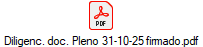 Diligenc. doc. Pleno 31-10-25 firmado.pdf