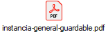 instancia-general-guardable.pdf