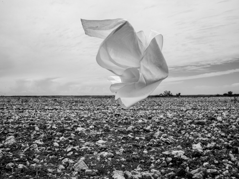 Exposicin de El Cuarto Lcido