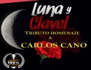 Luna y clavel - Tributo homenaje a Carlos Cano