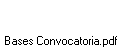 Bases Convocatoria.pdf