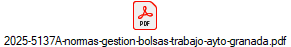 2025-5137A-normas-gestion-bolsas-trabajo-ayto-granada.pdf