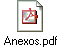 Anexos.pdf