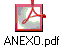 ANEXO.pdf