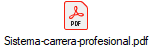 Sistema-carrera-profesional.pdf