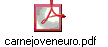 carnejoveneuro.pdf