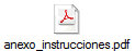 anexo_instrucciones.pdf