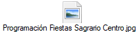 Programaci�n Fiestas Sagrario Centro.jpg