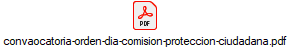 convaocatoria-orden-dia-comision-proteccion-ciudadana.pdf
