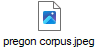 pregon corpus.jpeg