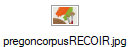 pregoncorpusRECOIR.jpg