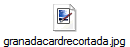 granadacardrecortada.jpg
