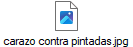 carazo contra pintadas.jpg
