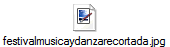 festivalmusicaydanzarecortada.jpg