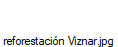 reforestaci�n Viznar.jpg
