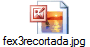 fex3recortada.jpg
