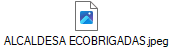 ALCALDESA ECOBRIGADAS.jpeg