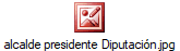 alcalde presidente Diputaci�n.jpg