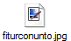 fiturconunto.jpg