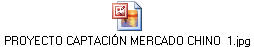 PROYECTO CAPTACI�N MERCADO CHINO  1.jpg