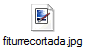 fiturrecortada.jpg
