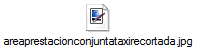 areaprestacionconjuntataxirecortada.jpg