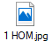 1 HOM.jpg