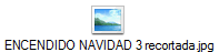 ENCENDIDO NAVIDAD 3 recortada.jpg