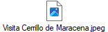 Visita Cerrillo de Maracena.jpeg