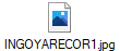 INGOYARECOR1.jpg