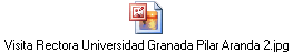 Visita Rectora Universidad Granada Pilar Aranda 2.jpg