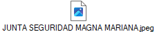 JUNTA SEGURIDAD MAGNA MARIANA.jpeg