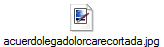 acuerdolegadolorcarecortada.jpg