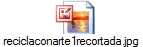 reciclaconarte1recortada.jpg
