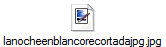 lanocheenblancorecortadajpg.jpg