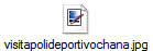 visitapolideportivochana.jpg