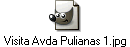 Visita Avda Pulianas 1.jpg