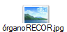�rganoRECOR.jpg