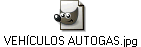 VEH�CULOS AUTOGAS.jpg