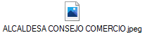 ALCALDESA CONSEJO COMERCIO.jpeg