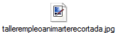 tallerempleoanimarterecortada.jpg