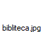 bibliteca.jpg