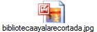 bibliotecaayalarecortada.jpg