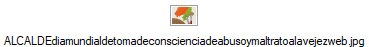 ALCALDEdiamundialdetomadeconscienciadeabusoymaltratoalavejezweb.jpg