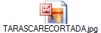 TARASCARECORTADA.jpg