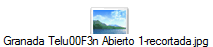 Granada Telu00F3n Abierto 1-recortada.jpg