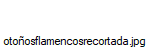 oto�osflamencosrecortada.jpg