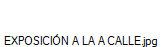 EXPOSICI�N A LA A CALLE.jpg